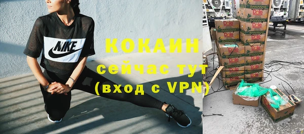 метадон Алексин